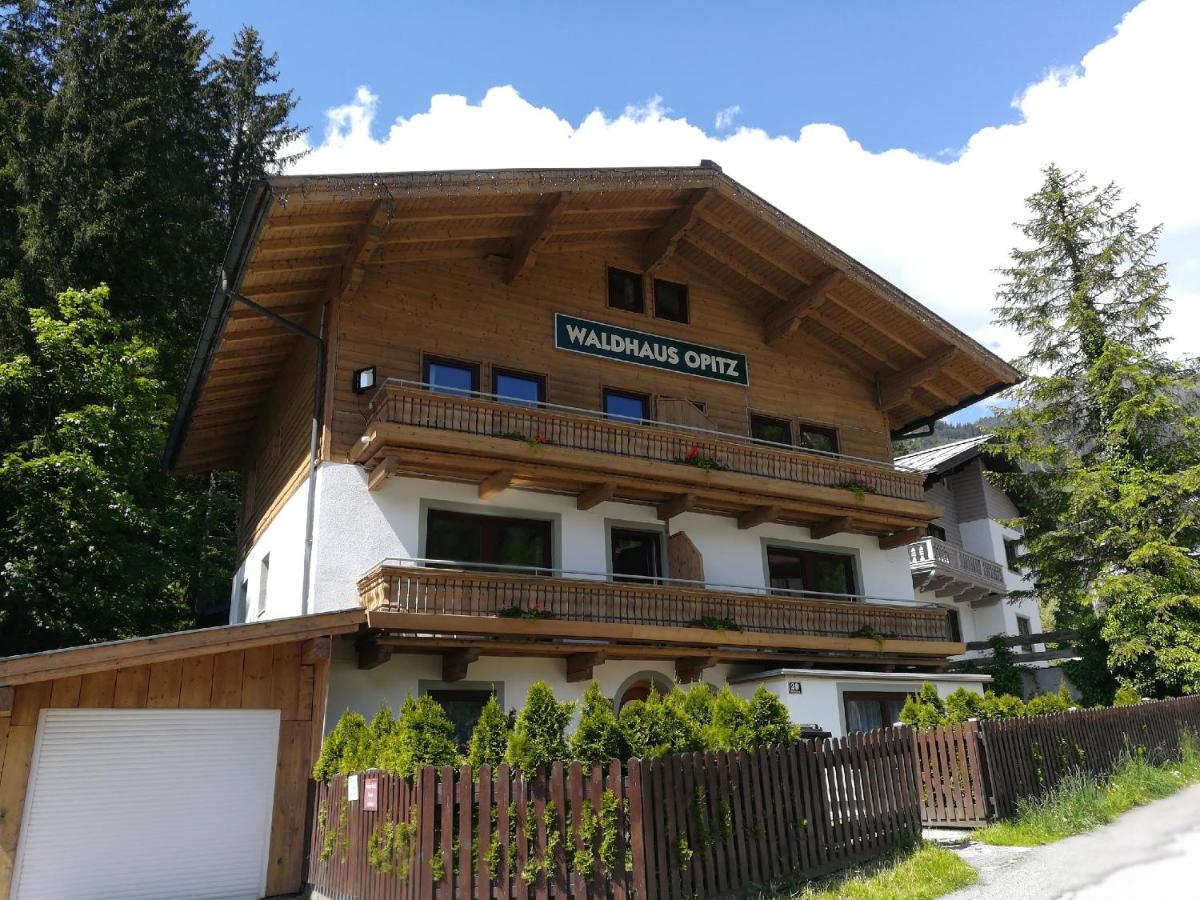 Waldhaus Opitz Appartement